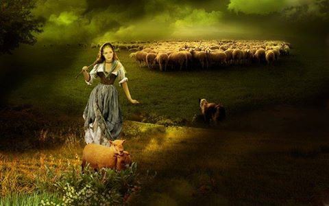 تيماء ,وليلتها السوداء