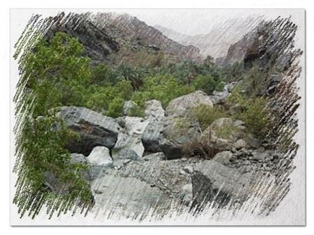  النشرة السياسية