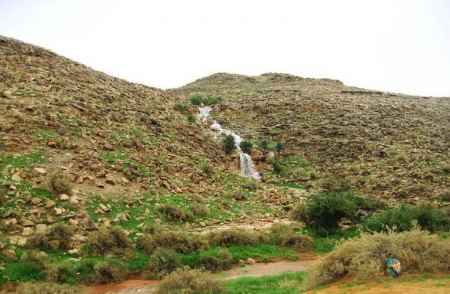 اللاصة واللبصة والجبلة